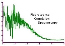 Fluorescence correlation